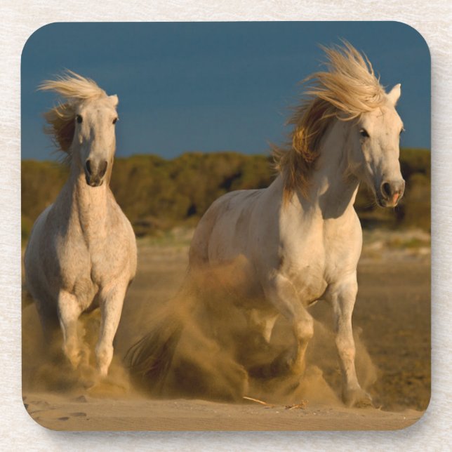 White Horses Running On Beach | Camargue, France Coaster (Front)