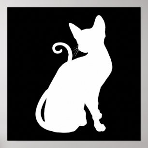 White House Cat Poster