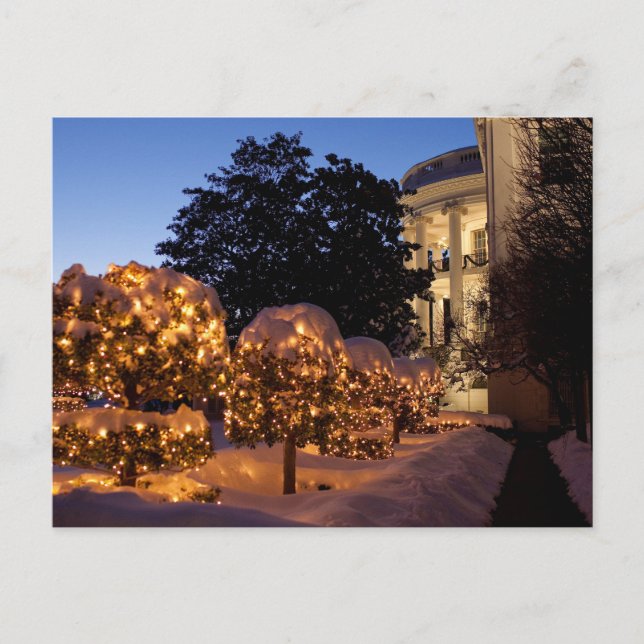 White House Christmas Lawn Decorations Holiday Postcard (Front)
