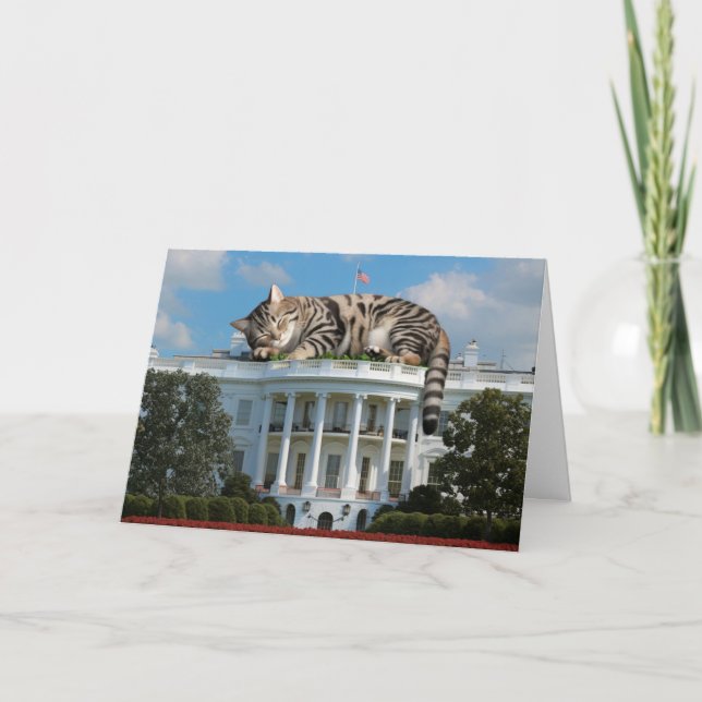 White House Giant Tabby Card (Front)