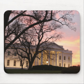 White House Night Scene Mouse Pad
