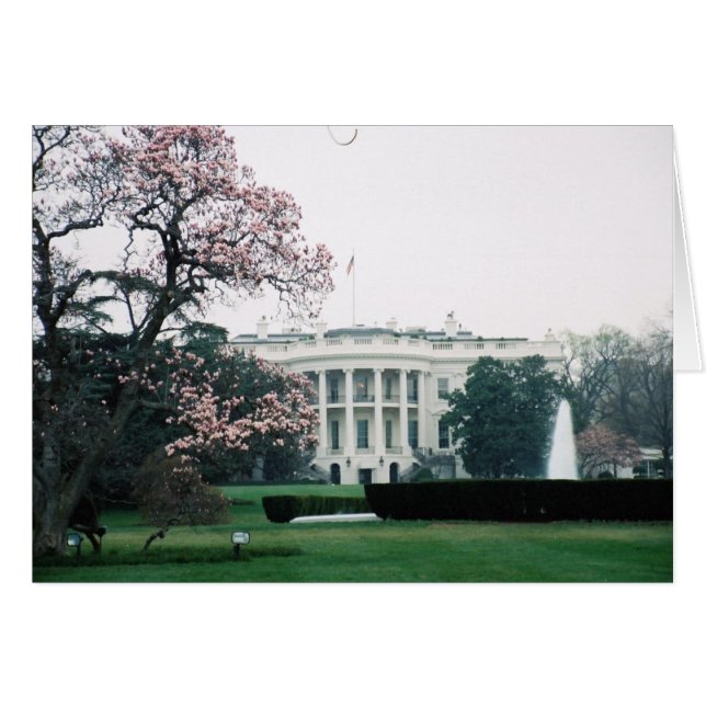 White House with Cherry Blossoms  (Front Horizontal)