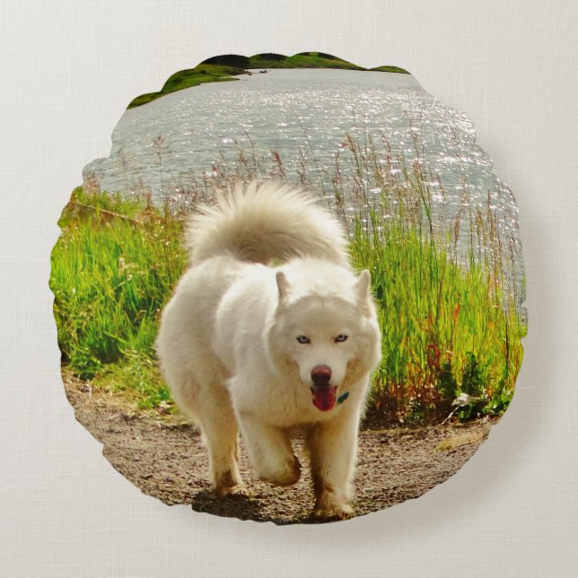 White Husky Blue eyes: Round Cushion (Front)