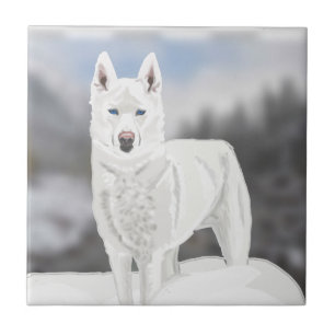 White Husky  Tile