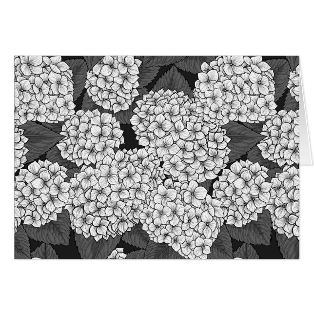 White hydrangea (Front Horizontal)