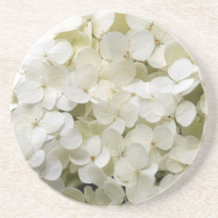 White Hydrangea Beverage Coaster