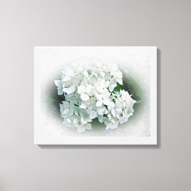 White Hydrangea Flowers Canvas Print (Front)