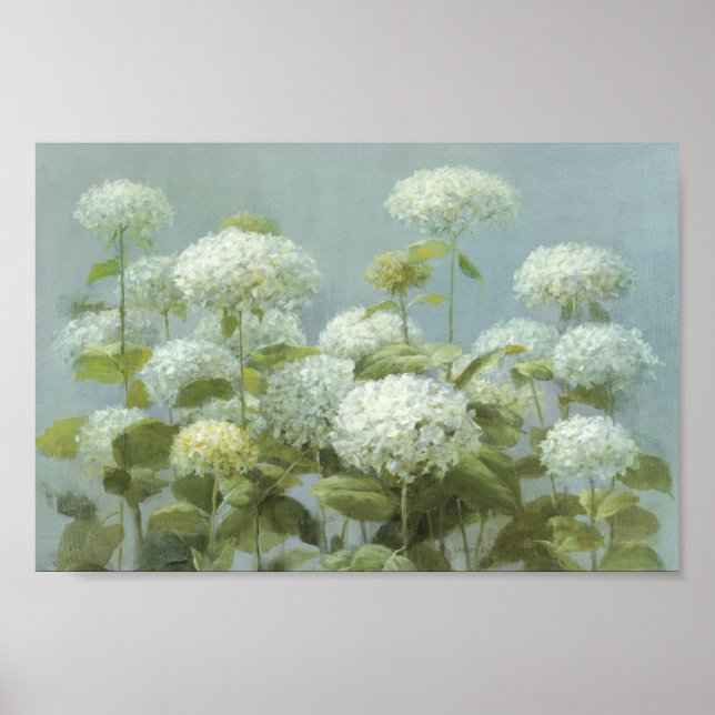 White Hydrangea Garden Poster (Front)