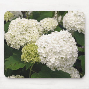White Hydrangea Mouse Pad