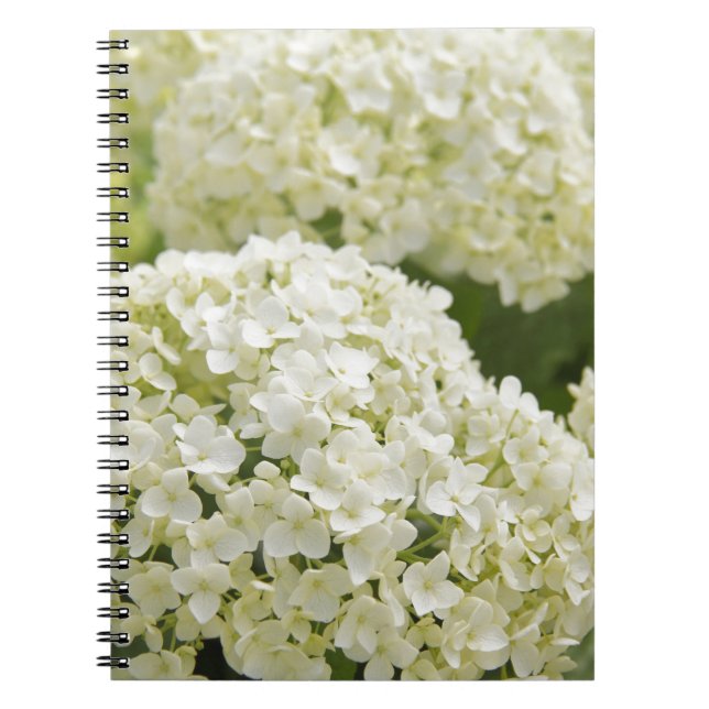 White Hydrangea Notebook (Front)
