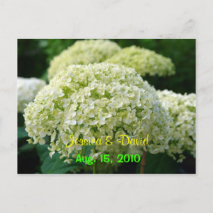 White Hydrangea Save The Date Postcard