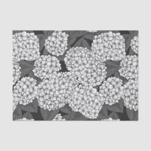 White hydrangea tissue paper