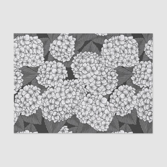 White hydrangea tissue paper (Front)