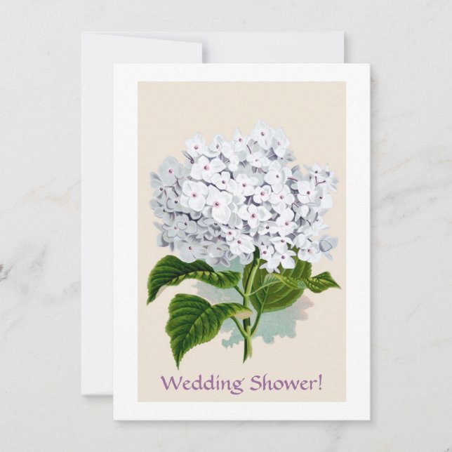 White Hydrangea Vintage Botanicals Illustrations Invitation (Front)