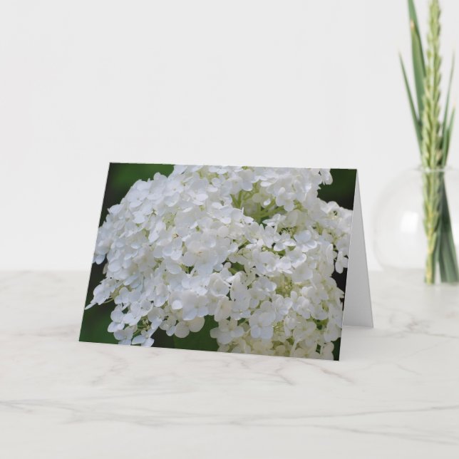 White Hydrangeas Greeting Card (Front)