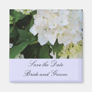 White Hydrangeas Magnet