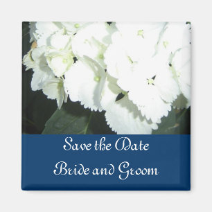 White Hydrangeas with Navy Border Magnet