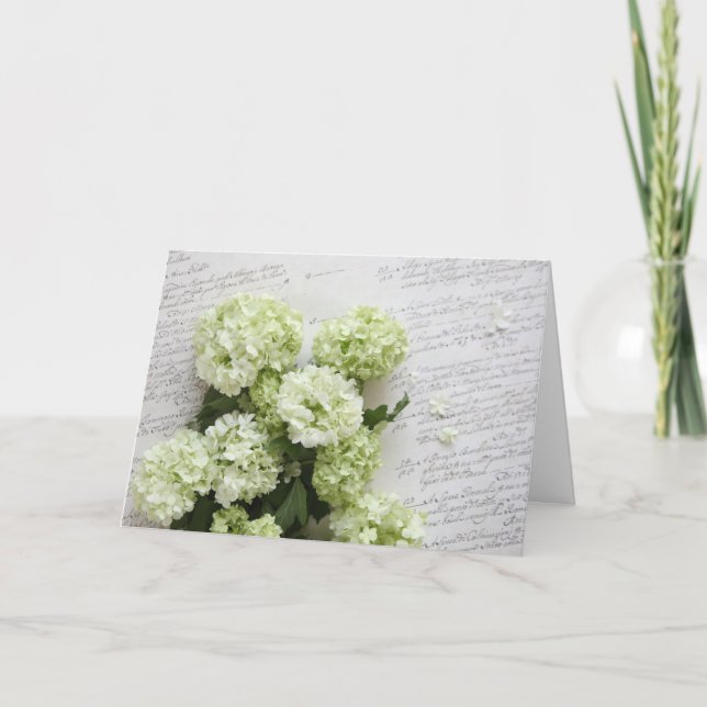 white hydrangeas with script writing greeting card (Front)