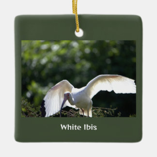 White Ibis Bird Ornament