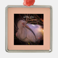 White Ibis Bird Photo Ornament
