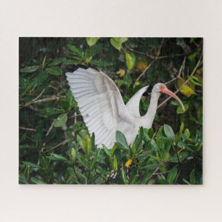 White Ibis Jigsaw Puzzle