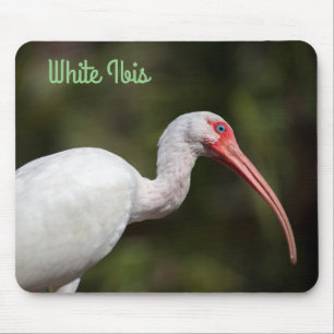 White Ibis Mouse Pad