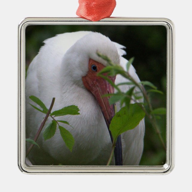 White Ibis Photo Ornament  (Front)