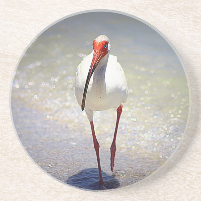 White Ibis Strut Coaster (Front)