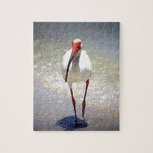 White Ibis Strut Jigsaw Puzzle