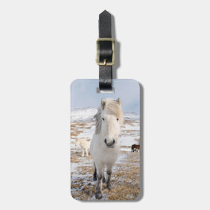 White Icelandic Horse, Iceland Luggage Tag