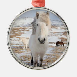 White Icelandic Horse, Iceland Metal Tree Decoration
