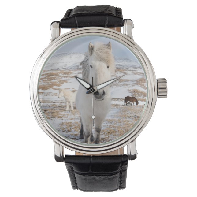 White Icelandic Horse, Iceland Watch (Front)