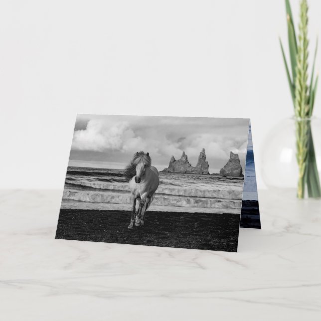 White Icelandic Mare Horse Greeting Card (Front)