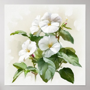 White Impatiens Flower Art Print Poster