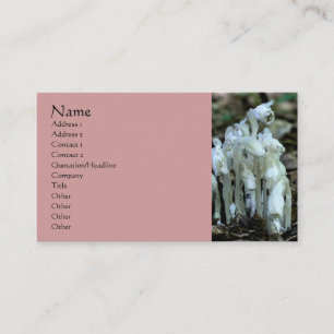 White Indian Pipe Wildflowers Business Card