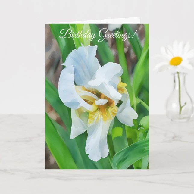 White Iris Flower Art Garden Birthday Card (Small Plant)