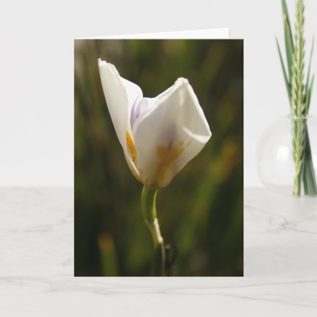 White Iris Flower Greeting Card (Front)