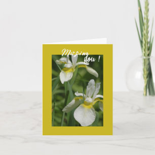 White Iris - Missing You Card