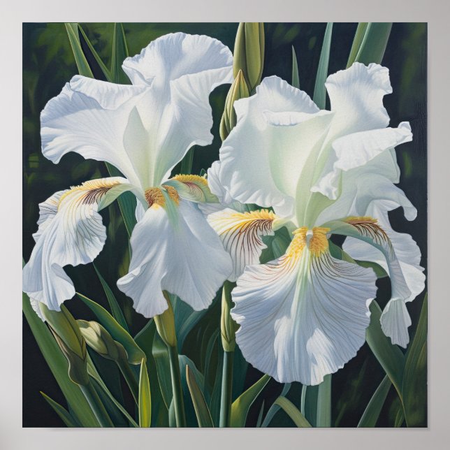 White Irises Flower Art Print Poster (Front)