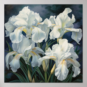 White Irises Flower Art Print Poster