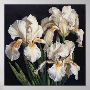 White Irises Flower Art Print Poster