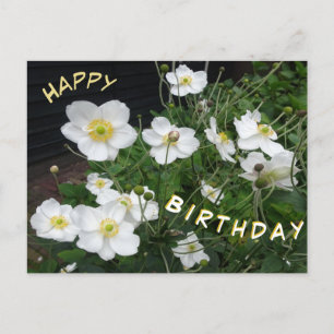 White Japanese Anemones Happy Birthday Postcard