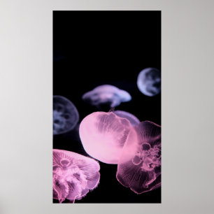 WHITE JELLYFISH IN WATER WITH BLACK BACKGROUND POSTER
