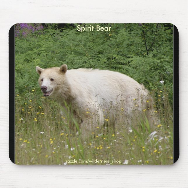 WHITE KERMODE (SPIRIT) BEAR MOUSE PAD (Front)