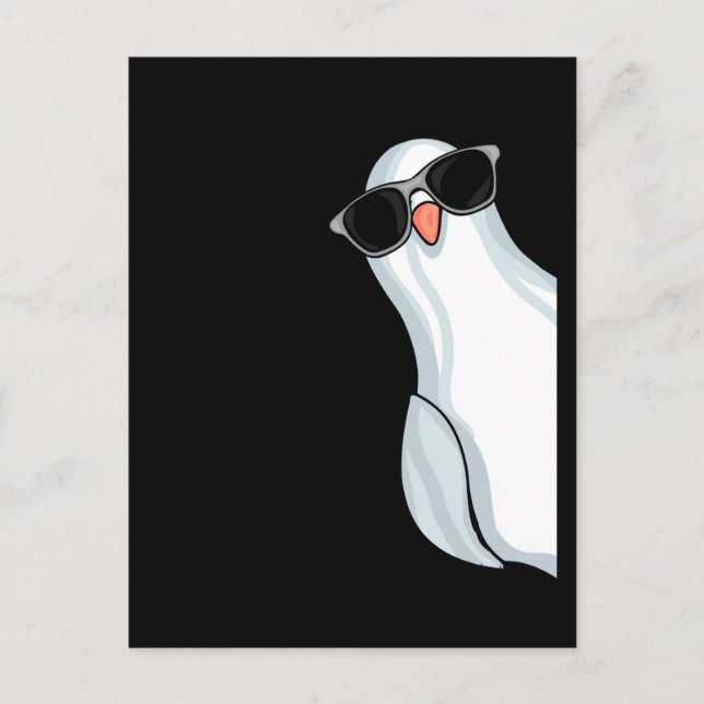 White King Pigeon Fencing Men Pigeon Racing Pigeon Postcard (Front)