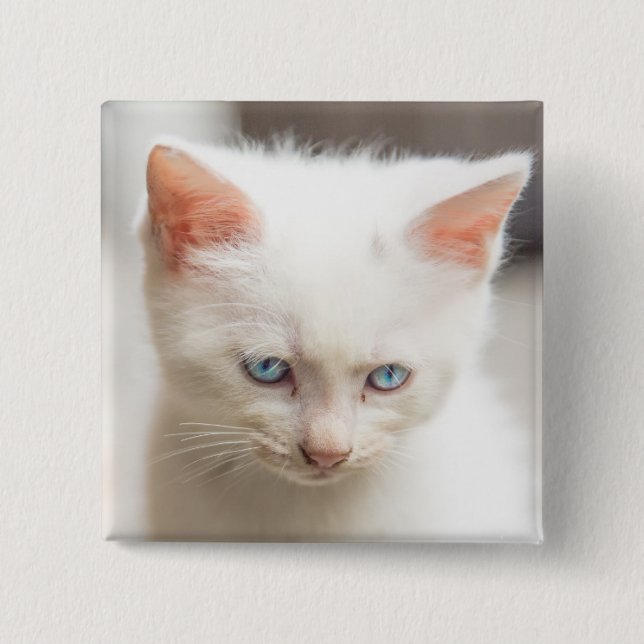 White Kitten 15 Cm Square Badge (Front)