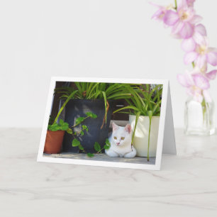 White Kitten and Garden Plants Card