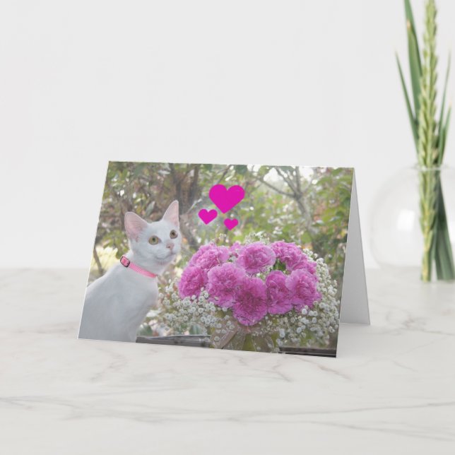 White Kitten and Pink Carnations Valentine Holiday Card (Front)