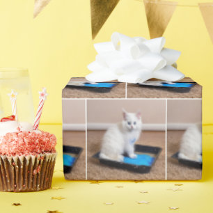 White Kitten In Blue Paint Wrapping Paper