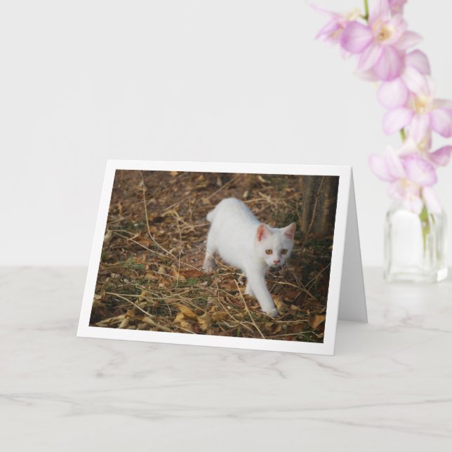 White Kitten in Forest Portrait Card (Orchid)